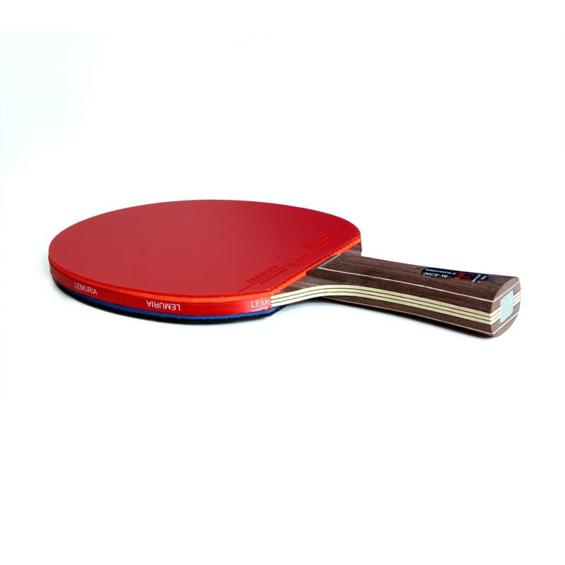 Lemuria EBENHOLZ-卓球ラケット、ピンプルズイ - Table Tennis Padel のレビューと価格