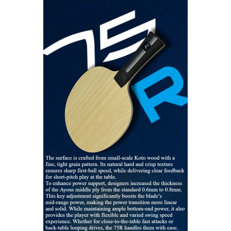 SANWEI 75R 5+2 アウターH-GLC卓球ブレード - Table Tennis Blade のレビューと価格